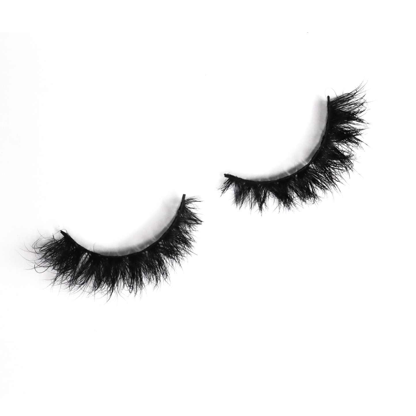 Luxury Lash | Passenger Princess