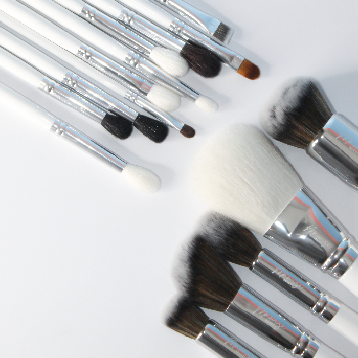 LUXURY BRUSH SET